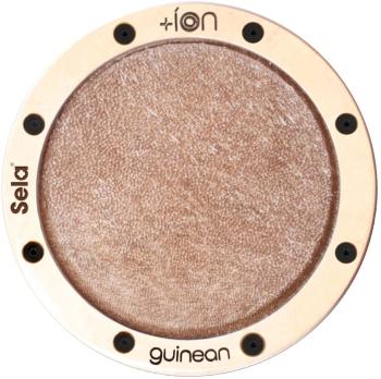 Sela Guinean Ion