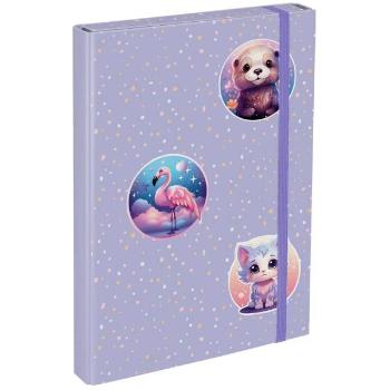 BAAGL PETS Füzettartó box  A4, lila, méret