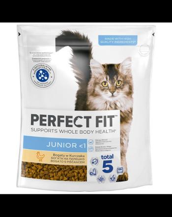 PERFECT FIT Junior
