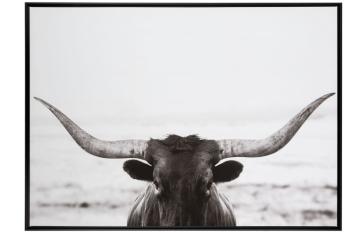 Obraz černo-bílá fotografie Bull - 104*144*4,3 cm 97033