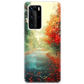 iSaprio Autumn pro Huawei P40 Pro (aut03-TPU3_P40pro)