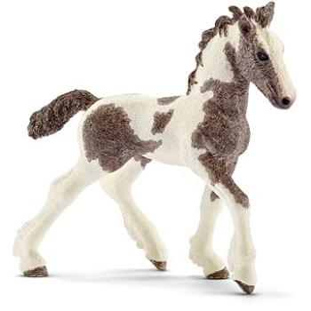 Schleich Hříbě Tinkerské 13774 (4055744027864)