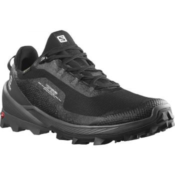 Salomon CROSS OVER GTX Pánská treková obuv, černá, velikost 42 2/3