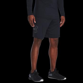 Under Armour UA TECH GRAPHIC SHORT L