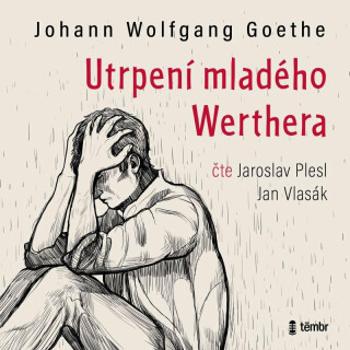 Utrpení mladého Werthera - Jan Vlasák, Johann Wolfgang Goethe, Jaroslav Plesl - audiokniha