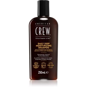 American Crew Deep Moisturizing Shampoo hydratační šampon pro muže 250 ml