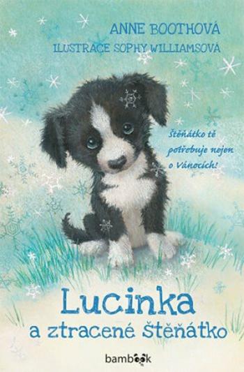 Lucinka a ztracené štěňátko - Sophy Williams, Boothová Anne