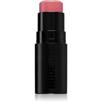 Nudestix Nudies Matte + Glow Core multifunkční líčidlo pro oči, rty a tvář odstín Pink Ice 6 g