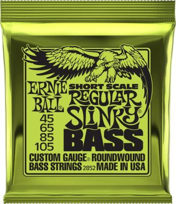 Ernie Ball 2852 Regular Slinky Bass Struny pro baskytaru