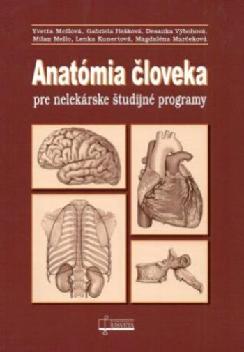 Anatómia človeka pre nelekárske štúdijné programy