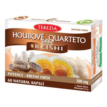 Houbové quarteto s reishi