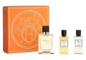 Hermes Terre D´ Hermes - EDT 50 ml + sprchový gel 40 ml + voda po holení 40 ml