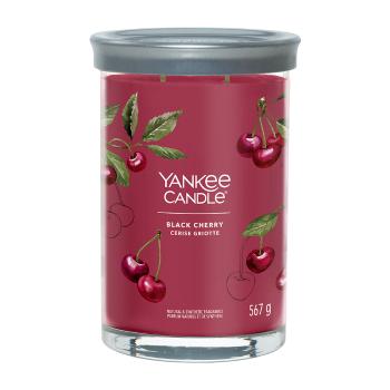 Yankee Candle Vonná svíčka Black Cherry tumbler 2 knoty 567 g