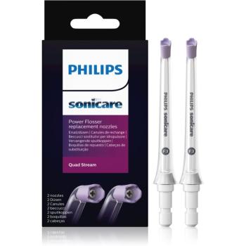 Philips Sonicare HX3062/00 jeturi de rezervă 2 buc