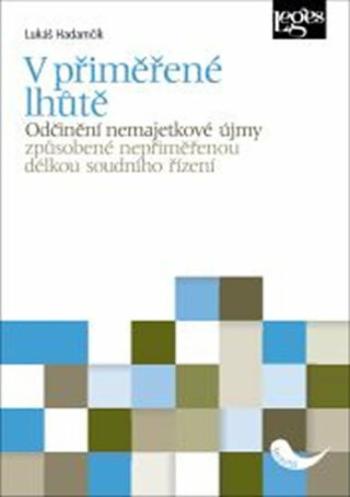 V přiměřené lhůtě - Odčinění nemajetkové újmy způsobené nepřiměřenou délkou soudního řízení - Lukáš Hadamčík