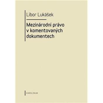 Visegrádská skupina a její vývoj v letech 1991-2004 (9788024624389)