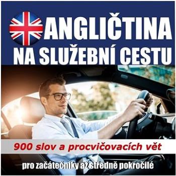 Angličtina na služební cestu ()