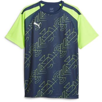 Puma TEAMLIGA GRAPHIC JERSEY TEE Pánské fotbalové triko, tmavě modrá, velikost