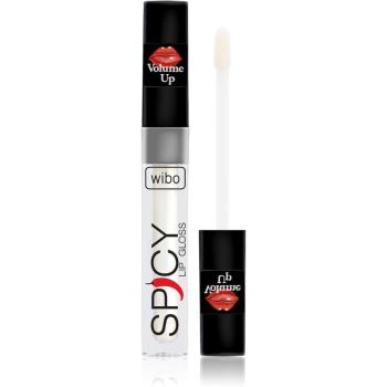 Wibo Lip Gloss Spicy lesk na rty pro větší objem 10 3 ml