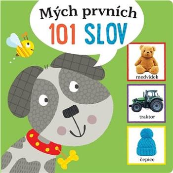 Mých prvních 101 slov (978-80-277-0114-8)