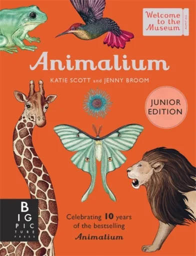 Animalium (Junior Edition) - Jenny Broomová