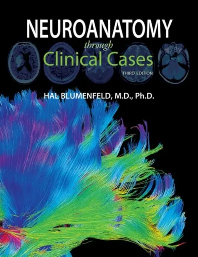 Neuroanatomy through Clinical Cases - Hal  Blumenfeld