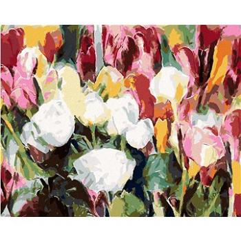 Diamondi - Diamantové malování - PLNO RŮŽÍ A TULIPÁNŮ, 40x50 cm, bez rámu a bez vypnutí plátna (606960A)