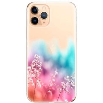 iSaprio Rainbow Grass pro iPhone 11 Pro (raigra-TPU2_i11pro)