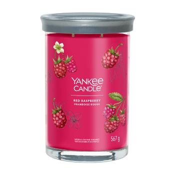 Yankee Candle Vonná svíčka Red Raspberry tumbler 2 knoty 567 g