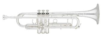 S.E.Shires TRQ10S