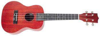 Tanglewood TWT 3 TR