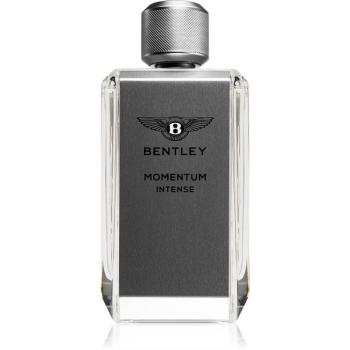 Bentley Momentum Intense parfémovaná voda pro muže 100 ml