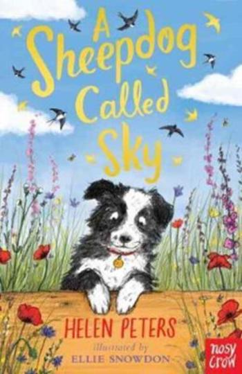 A Sheepdog Called Sky - Helen Peters