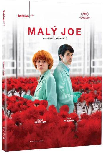 Malý Joe (DVD)