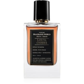 Fragrance World Prive Series Louis Ombre parfémovaná voda pro muže 80 ml