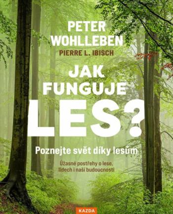 Jak funguje les? Poznejte svět díky lesům - Peter Wohlleben