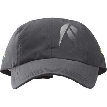 Reebok TECH STYLE DAD CAP Pánská kšiltovka, černá, velikost