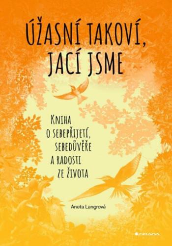 Úžasní takoví, jací jsme - Langrová Aneta