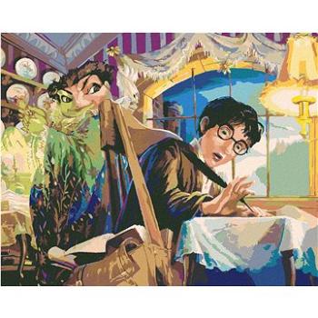 Zuty - Harry potterův trest, 40×50 cm (HRAwlmal165nad)