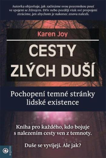 Cesty zlých duší - Joy Karen