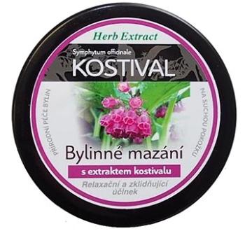 VIVACO Bylinná mast s kostivalem 100 ml  (8594162057801)