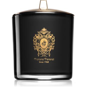 Tiziana Terenzi Almond Vanilla vonná svíčka s dřevěným knotem 900 g