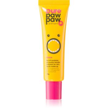 Pure Paw Paw Grape balzám na rty a suchá místa 15 g