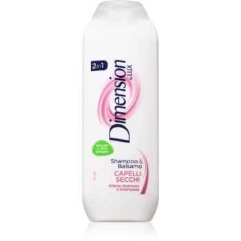 Dimension by Lux 2in1 šampon a kondicionér 2 v 1 pro suché vlasy 250 ml