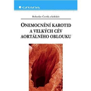 Onemocnění karotid a velkých cév aortálního oblouku (80-247-1268-7)