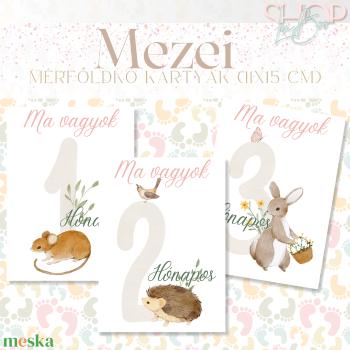 Mérföldkő kártyák - Mezei (11x15 cm)