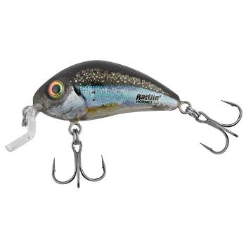 Salmo wobler rattlin hornet shallow runner clear holo smelt - 3,5 cm