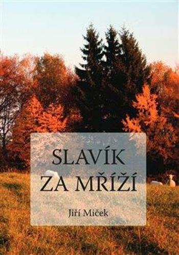 Slavík za mříží (Defekt) - Jiří Miček