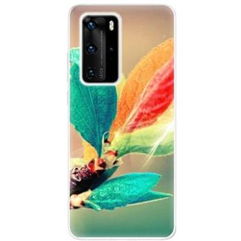 iSaprio Autumn pro Huawei P40 Pro (aut02-TPU3_P40pro)