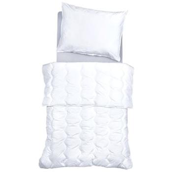 SCANquilt přikrývka COMFORT COTTON AB/AM (34393)